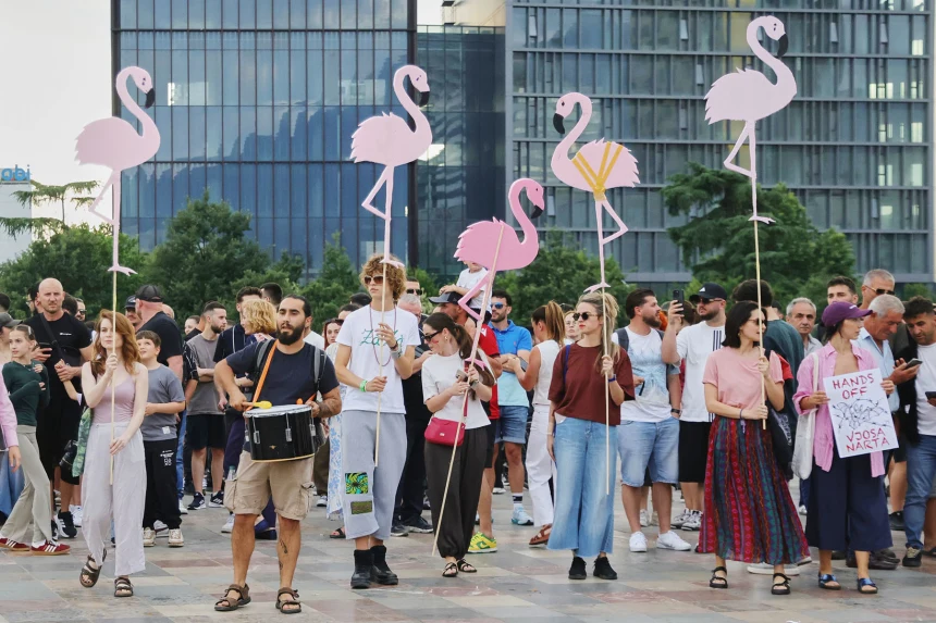 Flamingo Revolution Albania